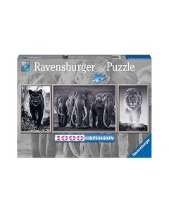 Ravensburger Puzzle Panter, Elefanten, Löwe